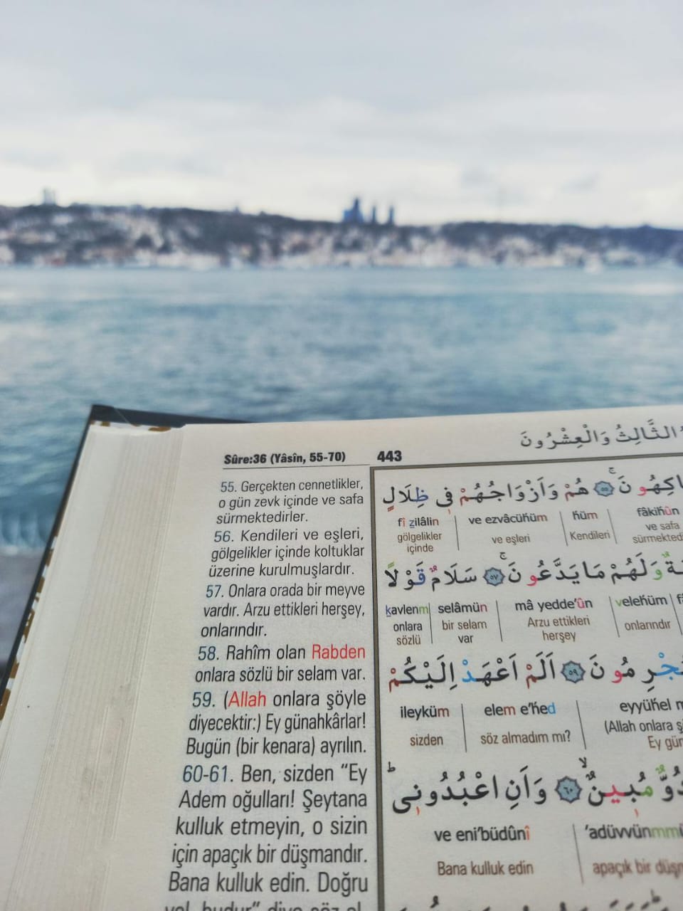 Quran Translation
